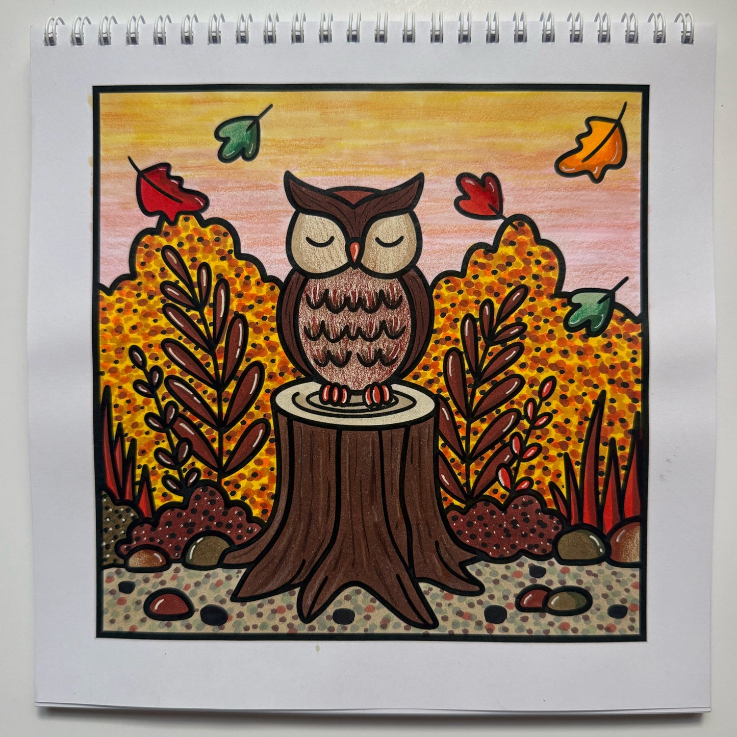 Autumn Days Colouring Book